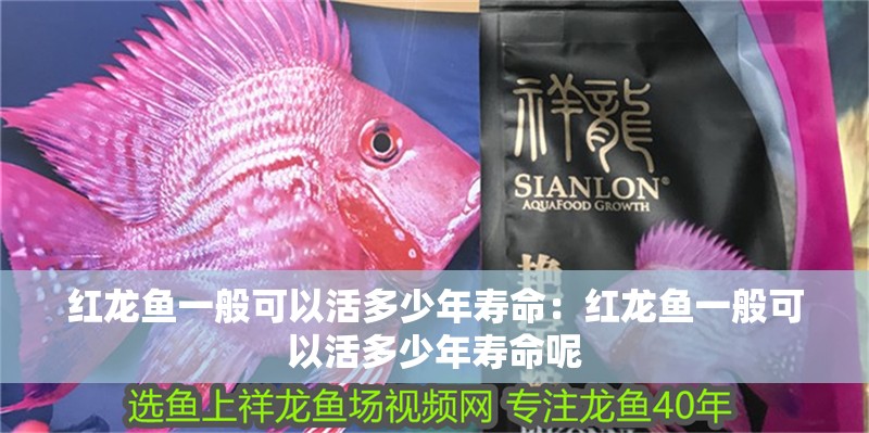 紅龍魚一般可以活多少年壽命：紅龍魚一般可以活多少年壽命呢