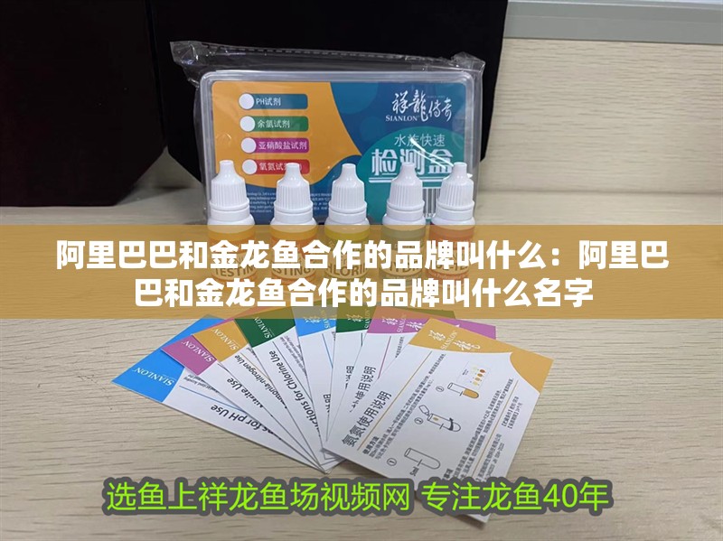 阿里巴巴和金龍魚合作的品牌叫什么：阿里巴巴和金龍魚合作的品牌叫什么名字