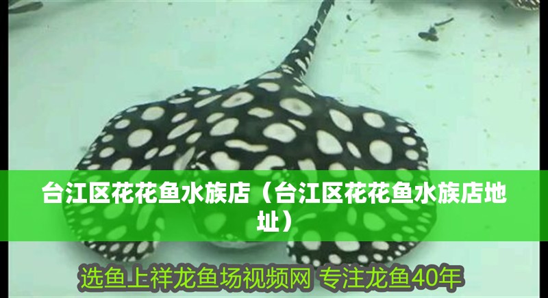 臺江區花花魚水族店（臺江區花花魚水族店地址）