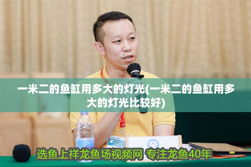一米二的魚缸用多大的燈光(一米二的魚缸用多大的燈光比較好)