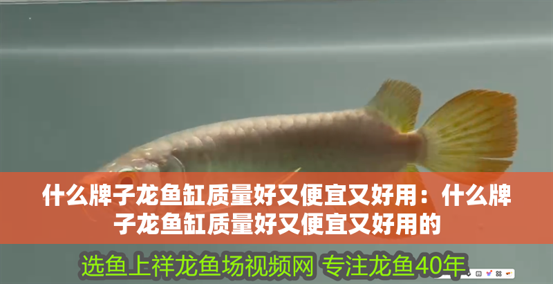 什么牌子龍魚缸質量好又便宜又好用：什么牌子龍魚缸質量好又便宜又好用的