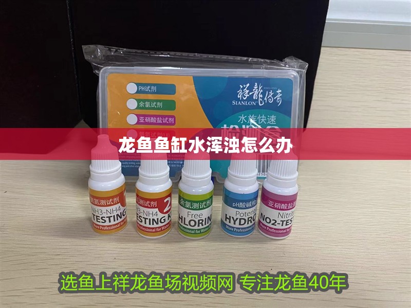 龍魚魚缸水渾濁怎么辦