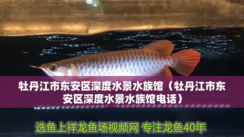 牡丹江市東安區(qū)深度水景水族館（牡丹江市東安區(qū)深度水景水族館電話）