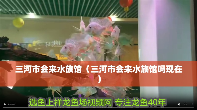 三河市會來水族館（三河市會來水族館嗎現在）