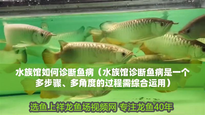 水族館如何診斷魚病（水族館診斷魚病是一個多步驟、多角度的過程需綜合運用） 水族館如何診斷魚病（水族館診斷魚病是一個多步驟、多角度的過程需綜合運用） 水族館百科（水族館加盟） 第1張