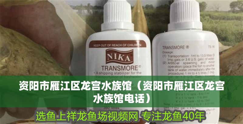 資陽市雁江區龍宮水族館（資陽市雁江區龍宮水族館電話）