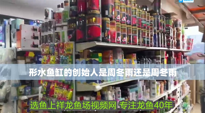 形水魚缸的創始人是周冬雨還是周冬雨 形水魚缸的創始人是周冬雨還是周冬雨 龍魚百科 第3張