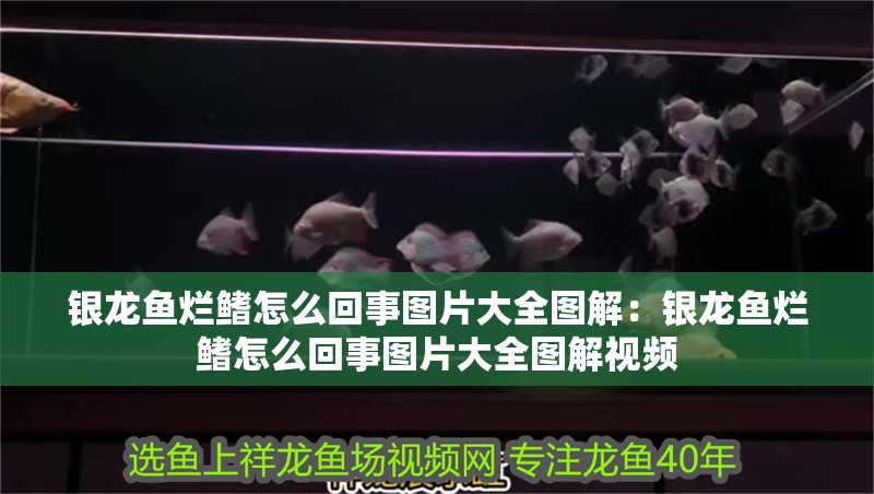 氧氣泵改裝魚缸過濾器(加氧泵改裝魚缸過濾器)