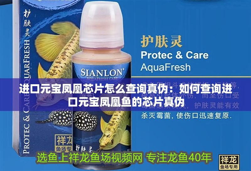 進口元寶鳳凰芯片怎么查詢真偽:如何查詢進口元寶鳳凰魚的芯片真偽 元寶鳳凰魚百科 第2張 進口元寶鳳凰芯片怎么查詢真偽:如何查詢進口元寶鳳凰魚的芯片真偽 進口元寶鳳凰芯片怎么查詢真偽:如何查詢進口元寶鳳凰魚的芯片真偽 元寶鳳凰魚百科 第2張