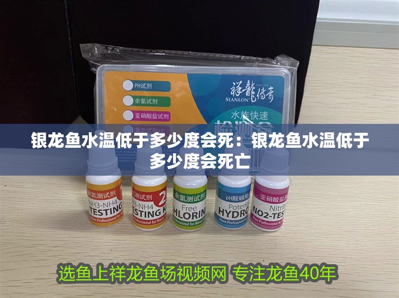 銀龍魚水溫低于多少度會死：銀龍魚水溫低于多少度會死亡