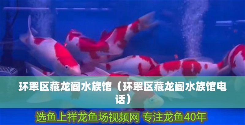 環翠區藏龍閣水族館（環翠區藏龍閣水族館電話） 環翠區藏龍閣水族館（環翠區藏龍閣水族館電話） 全國水族館企業名錄 第2張