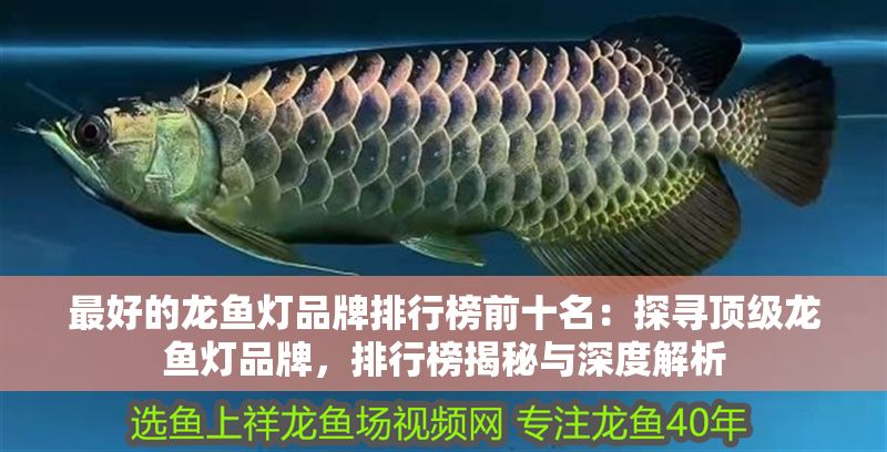 最好的龍魚燈品牌排行榜前十名：探尋頂級龍魚燈品牌，排行榜揭秘與深度解析