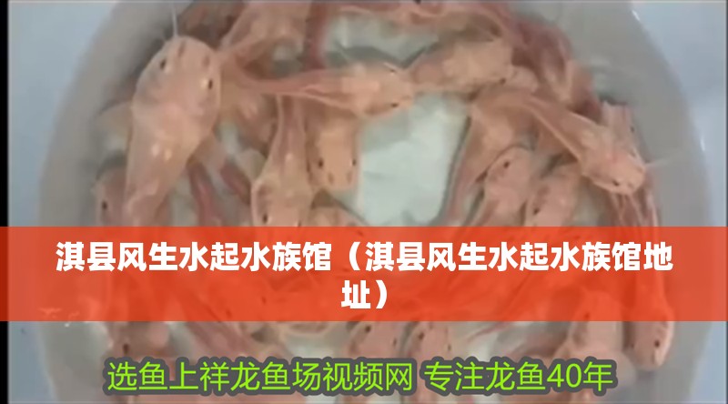 淇縣風生水起水族館（淇縣風生水起水族館地址） 淇縣風生水起水族館（淇縣風生水起水族館地址） 全國水族館企業名錄 第3張