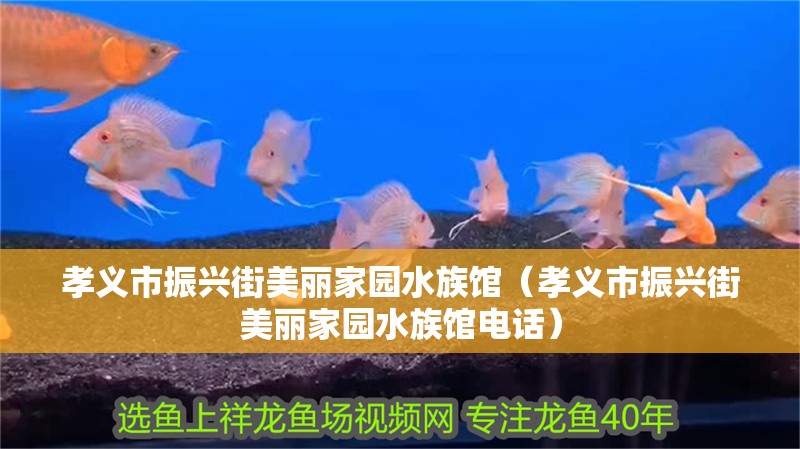 孝義市振興街美麗家園水族館（孝義市振興街美麗家園水族館電話）