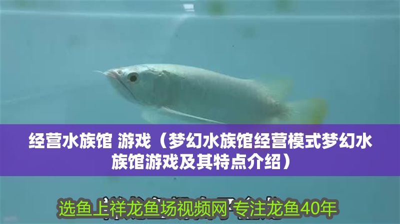 經(jīng)營水族館 游戲（夢幻水族館經(jīng)營模式夢幻水族館游戲及其特點介紹）