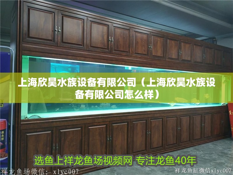 上海欣昊水族設(shè)備有限公司（上海欣昊水族設(shè)備有限公司怎么樣）