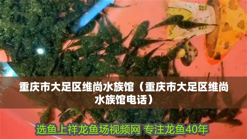 玻璃魚缸突然爆裂預兆:魚缸爆裂的原因及預防 魚缸百科 第2張 玻璃魚缸突然爆裂預兆:魚缸爆裂的原因及預防 玻璃魚缸突然爆裂預兆:魚缸爆裂的原因及預防 魚缸百科 第2張