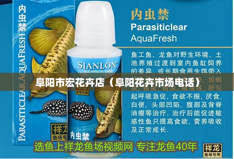 阜陽市宏花卉店（阜陽花卉市場電話）