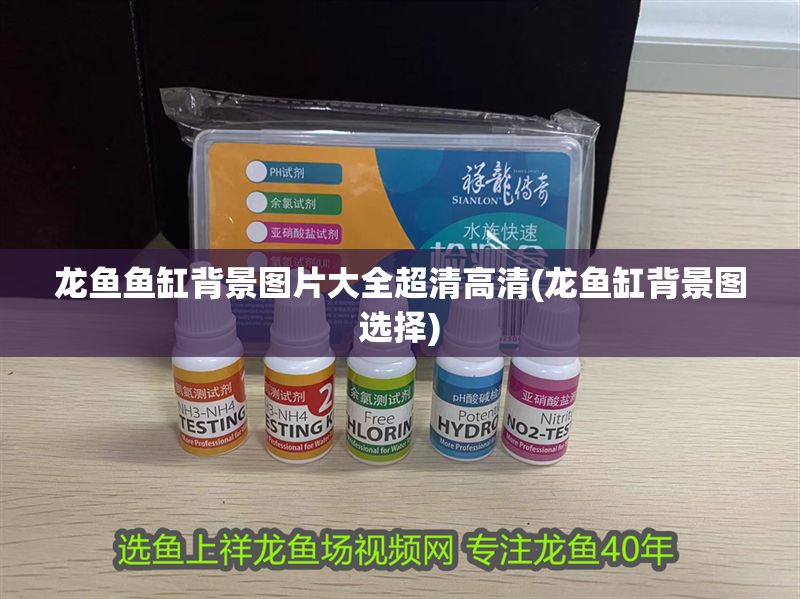 龍魚魚缸背景圖片大全超清高清(龍魚缸背景圖選擇)