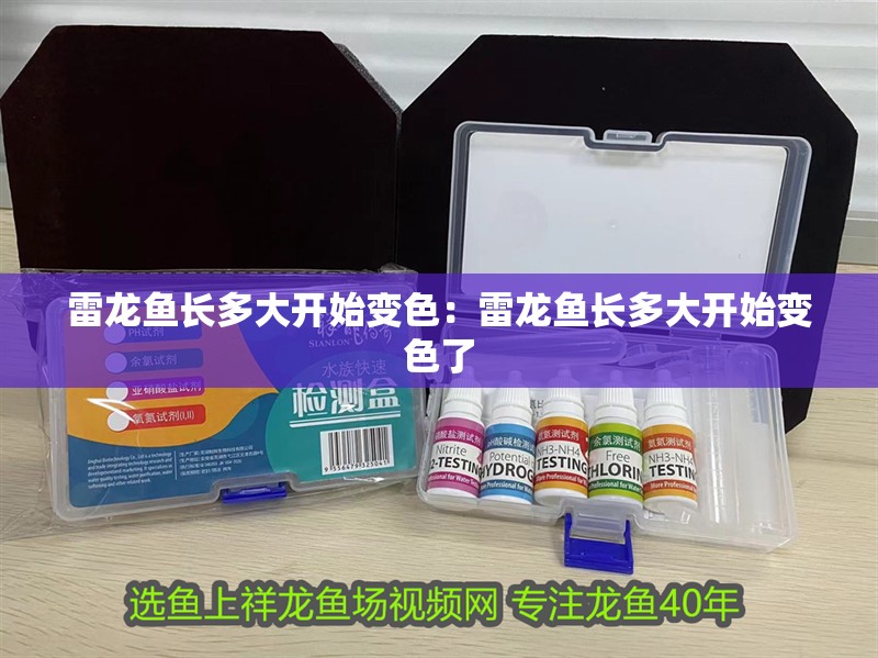 雷龍魚長多大開始變色：雷龍魚長多大開始變色了 雷龍魚長多大開始變色：雷龍魚長多大開始變色了 水族問答