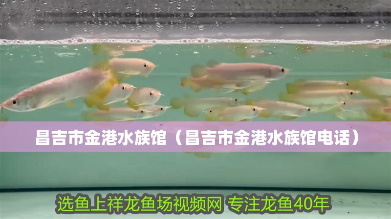 昌吉市金港水族館（昌吉市金港水族館電話）