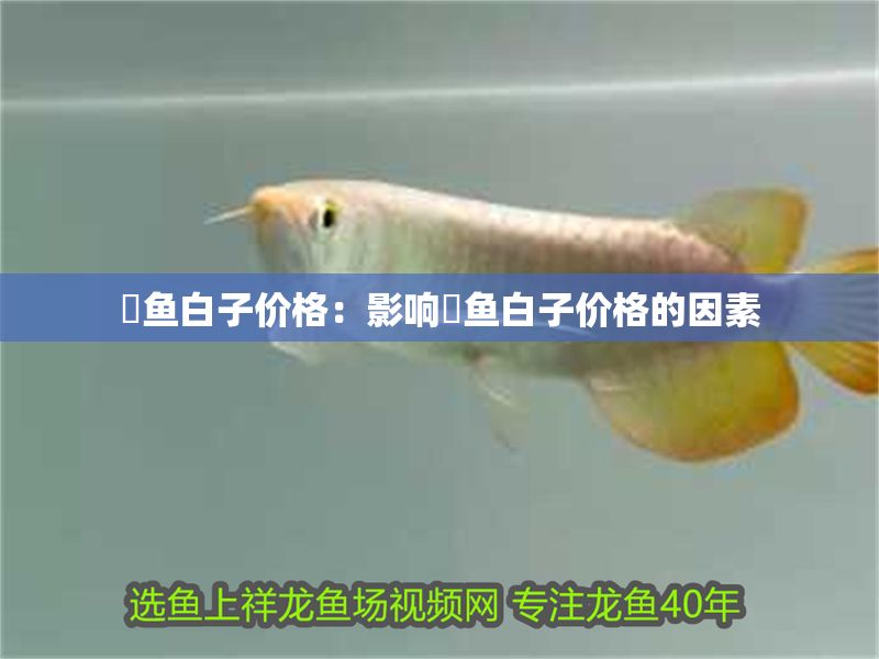 魟魚白子價格：影響魟魚白子價格的因素