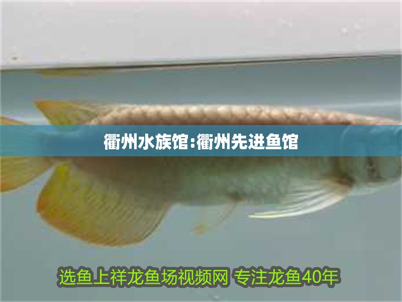 <strong><mark>衢州</mark></strong>水族館:<strong><mark>衢州</mark></strong>先進魚館
