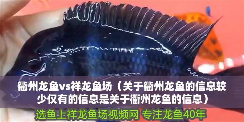 衢州龍魚vs祥龍魚場（關(guān)于衢州龍魚的信息較少僅有的信息是關(guān)于衢州龍魚的信息） 衢州龍魚vs祥龍魚場（關(guān)于衢州龍魚的信息較少僅有的信息是關(guān)于衢州龍魚的信息） 全國水族館企業(yè)名錄 第3張