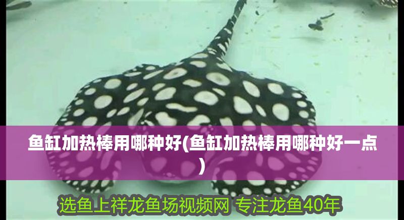 魚缸加熱棒用哪種好(魚缸加熱棒用哪種好一點)