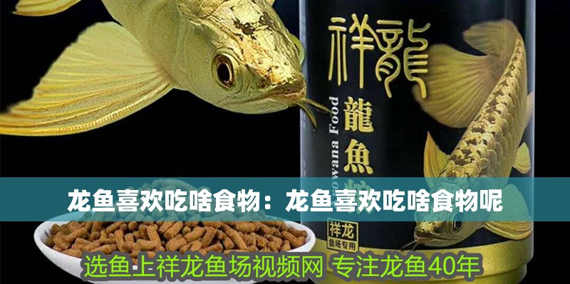 移動海鮮魚缸設計圖(移動海鮮魚缸設計圖紙)