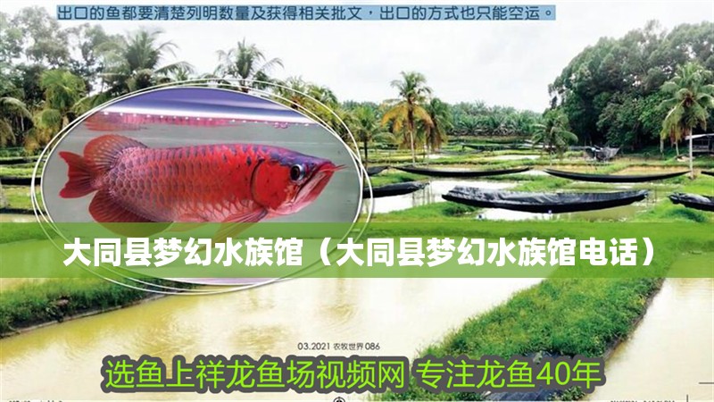 大同縣夢幻水族館(大同縣夢幻水族館電話) 全國水族館企業名錄 第2張 大同縣夢幻水族館(大同縣夢幻水族館電話) 大同縣夢幻水族館(大同縣夢幻水族館電話) 全國水族館企業名錄 第2張