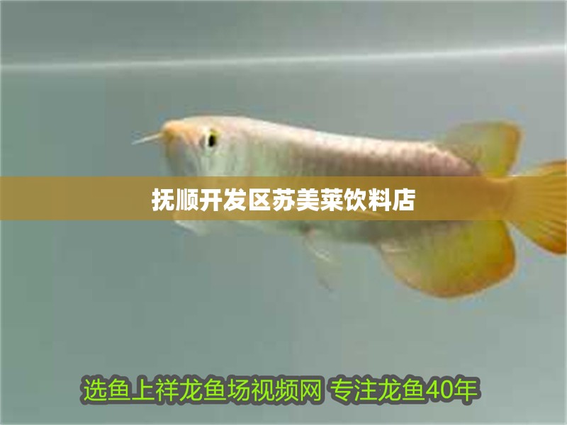 撫順開發區蘇美萊飲料店 撫順開發區蘇美萊飲料店 全國水族館企業名錄 第3張