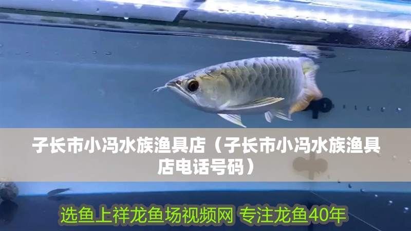 子長市小馮水族漁具店(子長市小馮水族漁具店電話號(hào)碼) 全國水族館企業(yè)名錄 第2張 子長市小馮水族漁具店(子長市小馮水族漁具店電話號(hào)碼) 子長市小馮水族漁具店(子長市小馮水族漁具店電話號(hào)碼) 全國水族館企業(yè)名錄 第2張