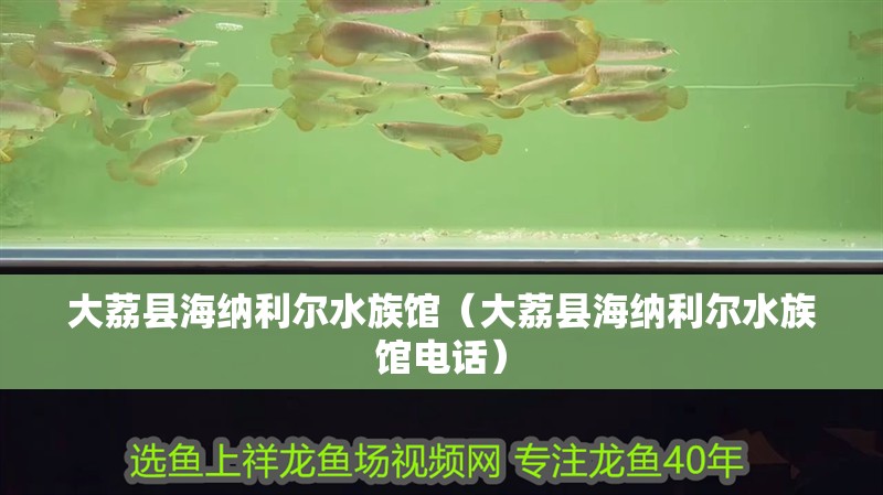 豬鼻龜是野生動物嗎為什么不能養(yǎng)呢視頻(豬鼻龜是野生的還是人工繁殖的)