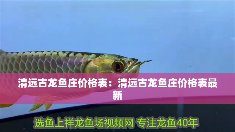 清遠古龍魚莊價格表：清遠古龍魚莊價格表最新