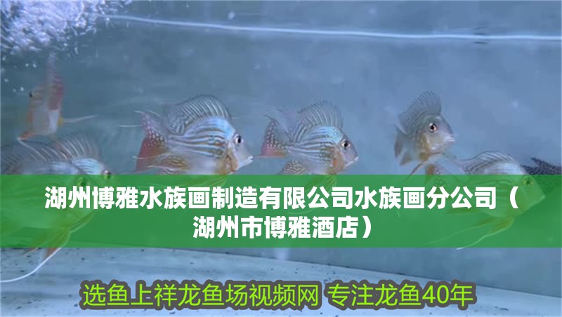 森森FK-01D電動園藝噴霧器（森森dc-01） 森森FK-01D電動園藝噴霧器（森森dc-01） 森森魚缸 第2張
