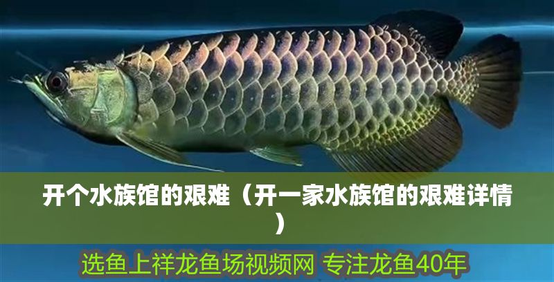 開個(gè)水族館的艱難（開一家水族館的艱難詳情）