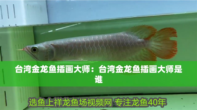 臺灣金龍魚插畫大師：臺灣金龍魚插畫大師是誰