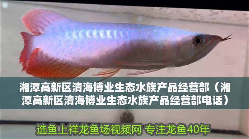 湘潭高新區(qū)清海博業(yè)生態(tài)水族產(chǎn)品經(jīng)營部（湘潭高新區(qū)清海博業(yè)生態(tài)水族產(chǎn)品經(jīng)營部電話）