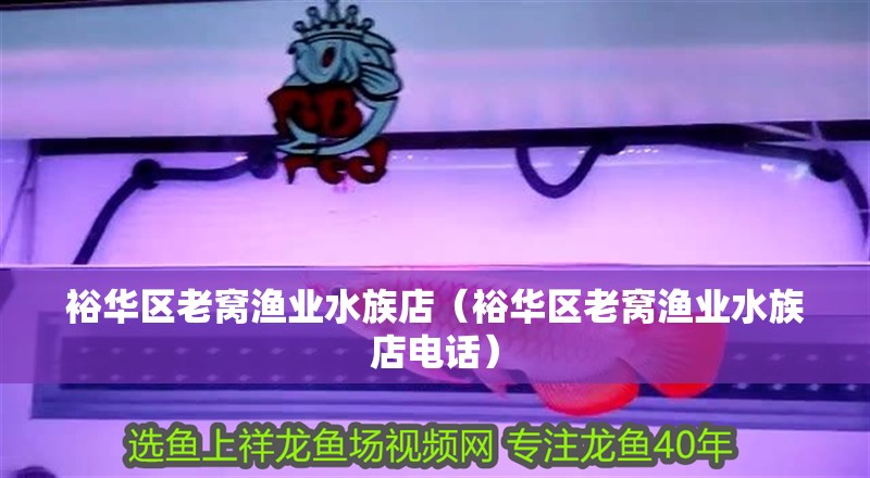 裕華區老窩漁業水族店（裕華區老窩漁業水族店電話）