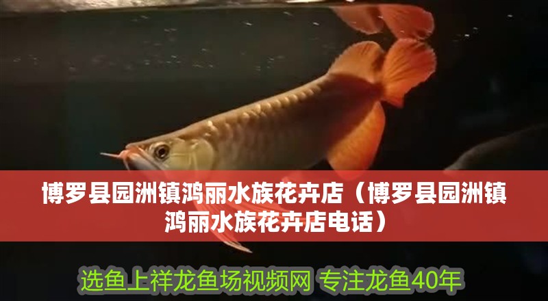 博羅縣園洲鎮(zhèn)鴻麗水族花卉店（博羅縣園洲鎮(zhèn)鴻麗水族花卉店電話）