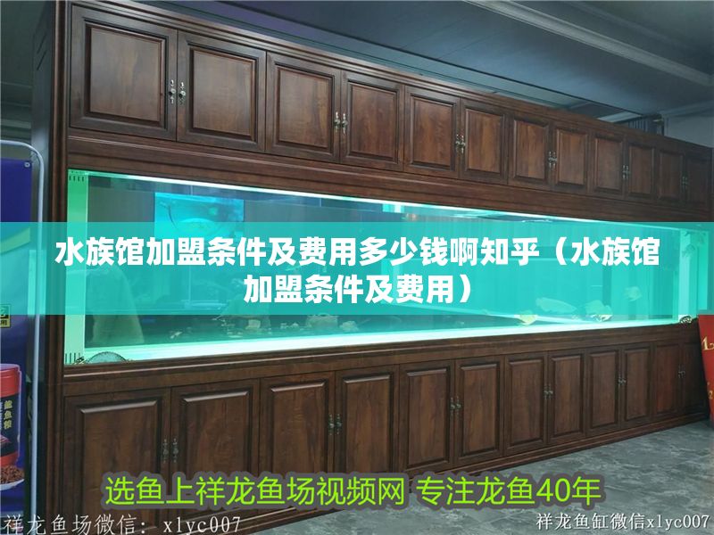 水族館加盟條件及費用多少錢啊知乎（水族館加盟條件及費用）