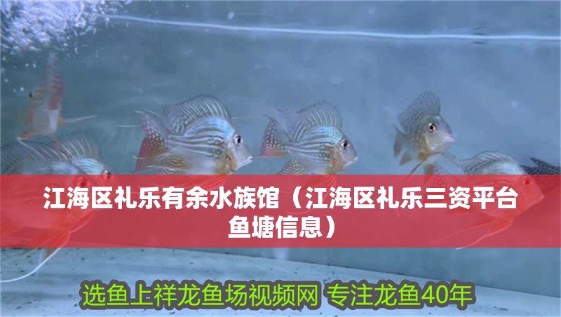 銀龍魚兇猛不(銀龍魚兇猛不兇) 銀龍魚兇猛不(銀龍魚兇猛不兇) 銀龍魚百科 第2張