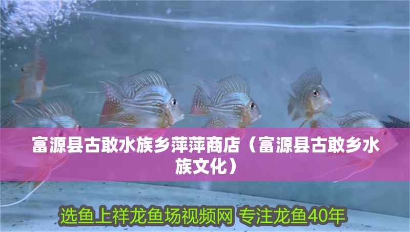 富源縣古敢水族鄉萍萍商店（富源縣古敢鄉水族文化）