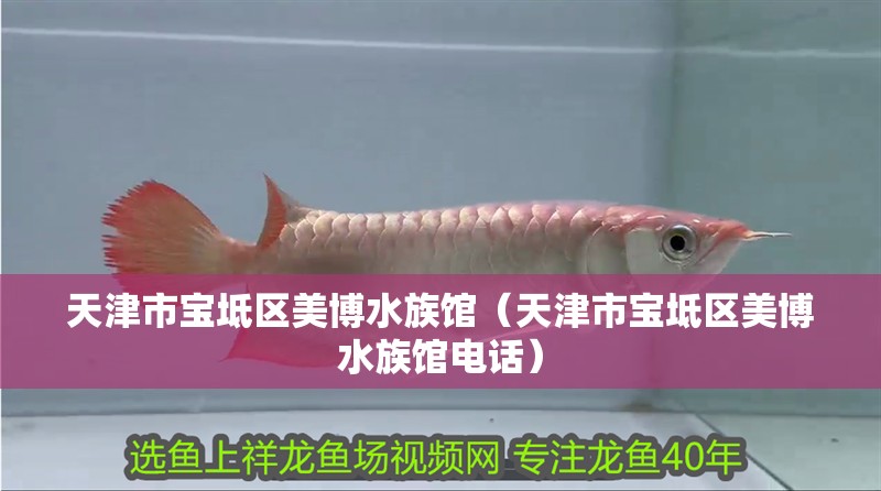 天津市寶坻區美博水族館（天津市寶坻區美博水族館電話）