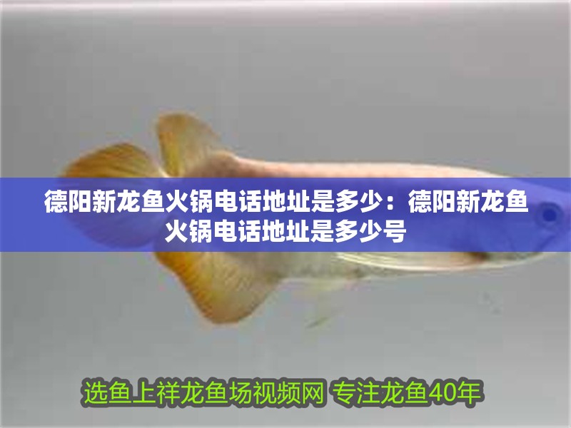 豬鼻龜瀕危原因有哪些癥狀表現(豬鼻龜瀕危原因有哪些癥狀表現為)