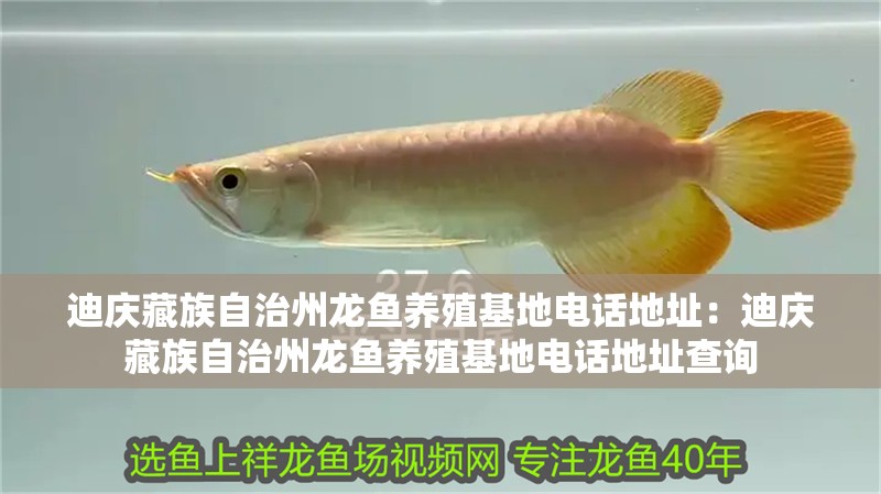 迪慶藏族自治州龍魚養殖基地電話地址：迪慶藏族自治州龍魚養殖基地電話地址查詢