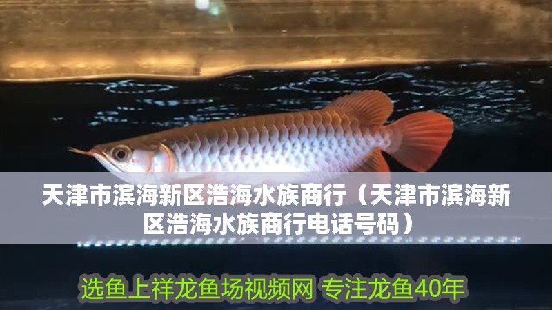 天津市濱海新區(qū)浩海水族商行（天津市濱海新區(qū)浩海水族商行電話(huà)號(hào)碼）