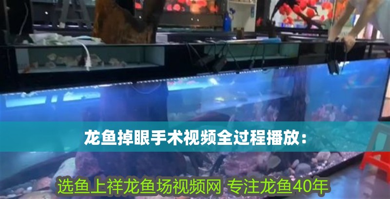 龍魚掉眼手術視頻全過程播放：