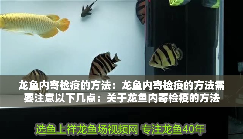 龍魚內寄檢疫的方法：龍魚內寄檢疫的方法需要注意以下幾點：關于龍魚內寄檢疫的方法 龍魚內寄檢疫的方法：龍魚內寄檢疫的方法需要注意以下幾點：關于龍魚內寄檢疫的方法 龍魚百科